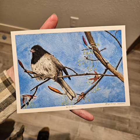 an oregon style junco - lighter body and a dark head - sitting on a spring tree branch against a blue sky painted on 5x7 paper in watercolor