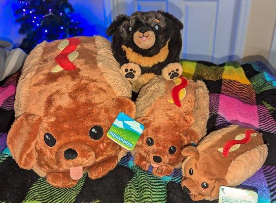 Three dachshunds in a hotdog bun plushies in various sizes and a black and tan dachsbund plush