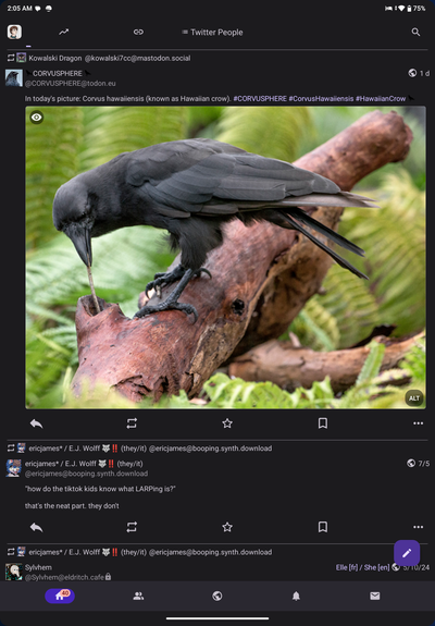 A screenshot of my Fedilab timeline on an 11 inch Android tablet